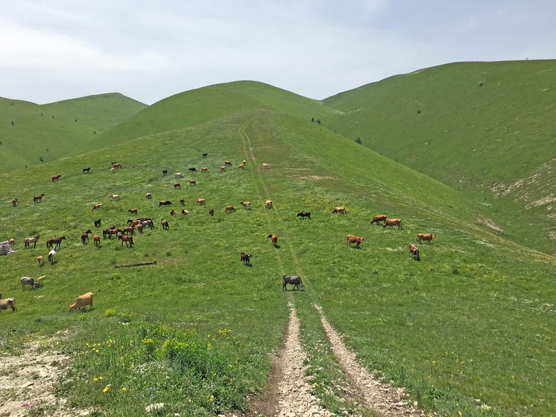 Главный Сулакский каньон. По следам Дюма