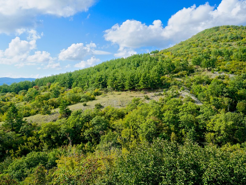 Мегалиты, спрятанные на горе Нексис в Геленджике