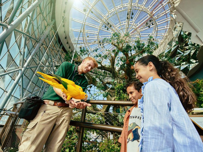 В мире животных: Dubai Safari Park и The Green Planet